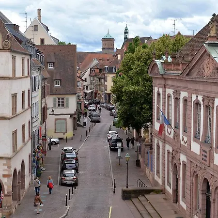 Lägenhet Au Grenier A Sel Colmar